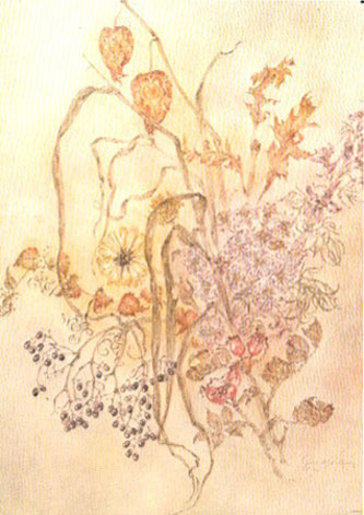   Sulamith Wulfing illustration