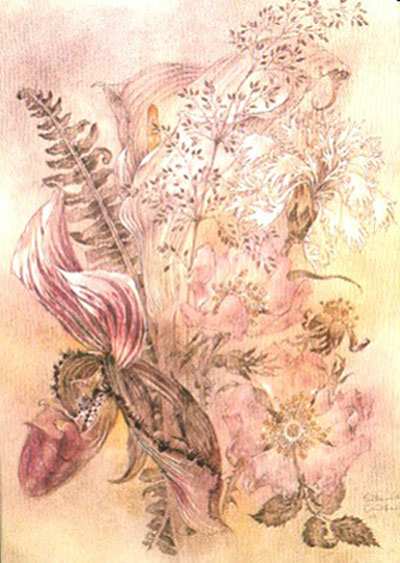   Sulamith Wulfing illustration