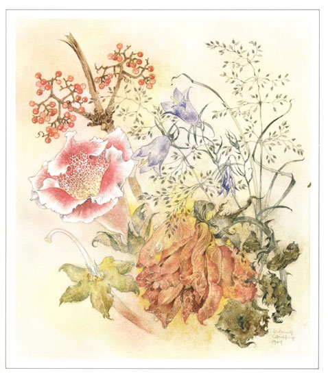   Sulamith Wulfing illustration