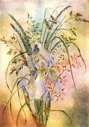   Sulamith Wulfing illustration
