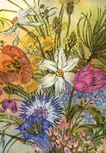   Sulamith Wulfing illustration