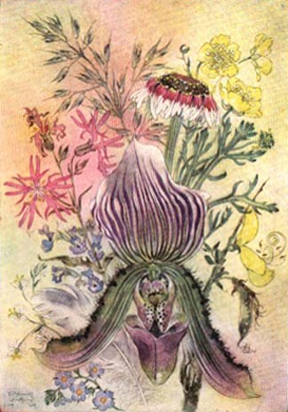   Sulamith Wulfing illustration