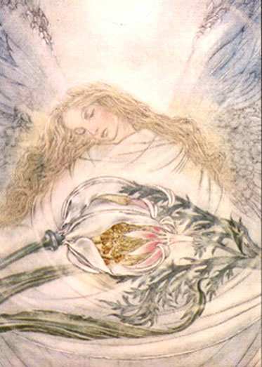   Sulamith Wulfing illustration